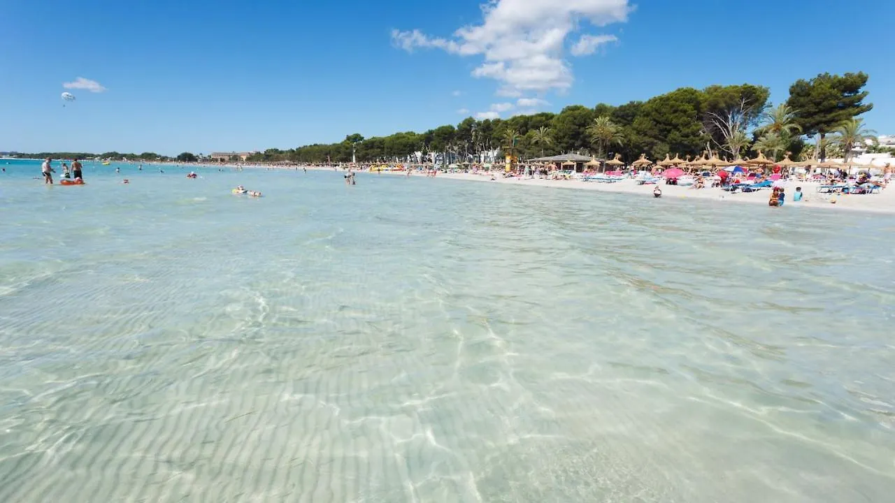 Can Pinar Port de Alcudia  Hiszpania